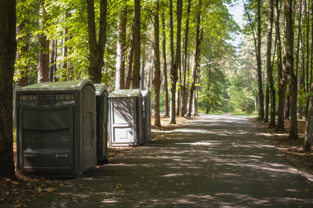Best Local porta potty services  in Cabool, MO